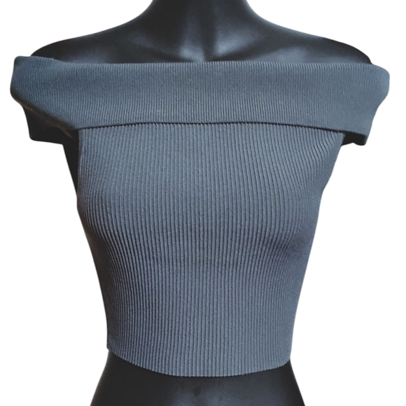 Babaton ARITZIA | Charcoal Off-Shoulder Ribbed Cropped Bodycon Top | Size Small - Picture 1 of 9